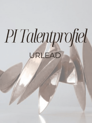 PI Talentprofiel